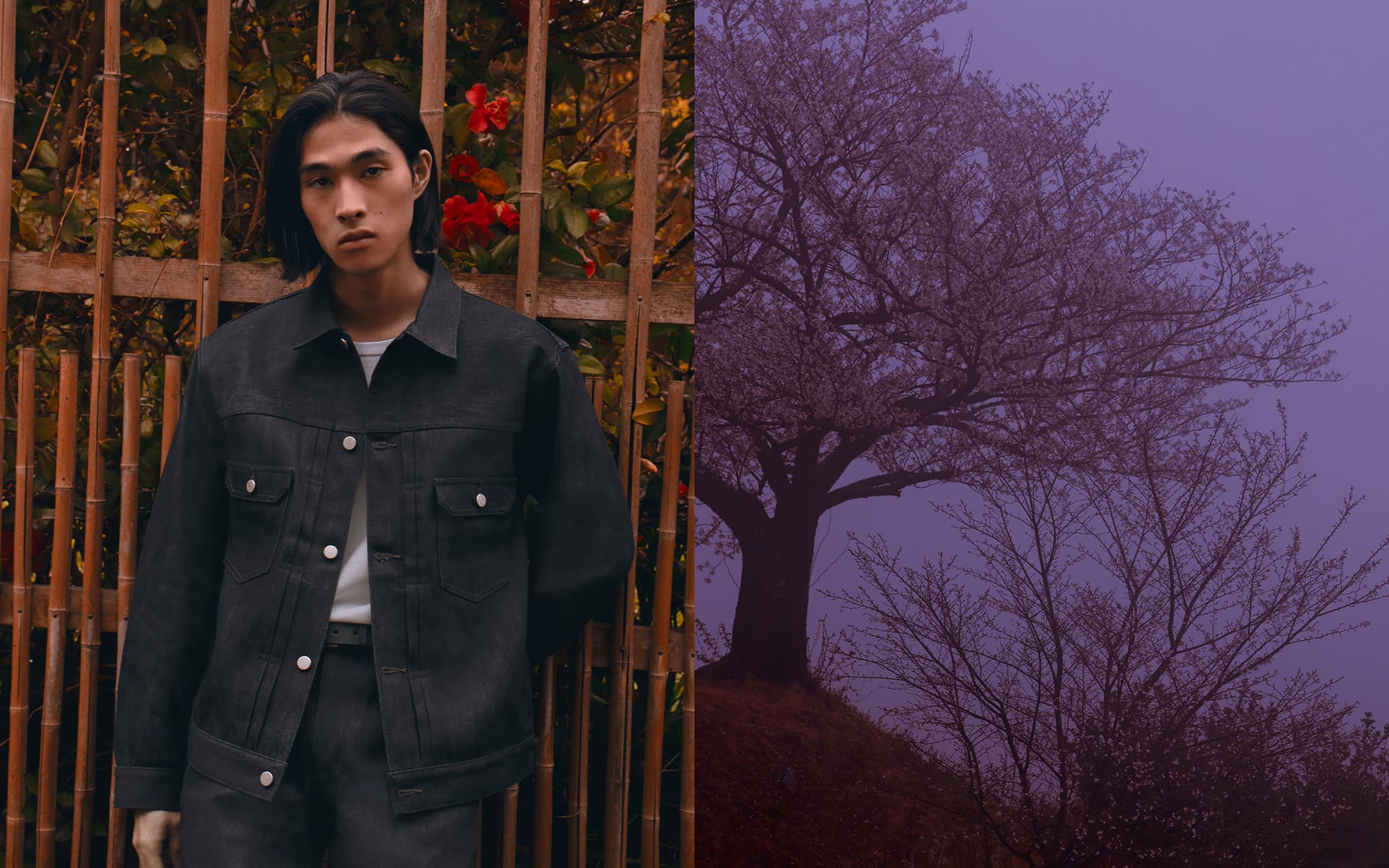 MOMOTARO JEANS
